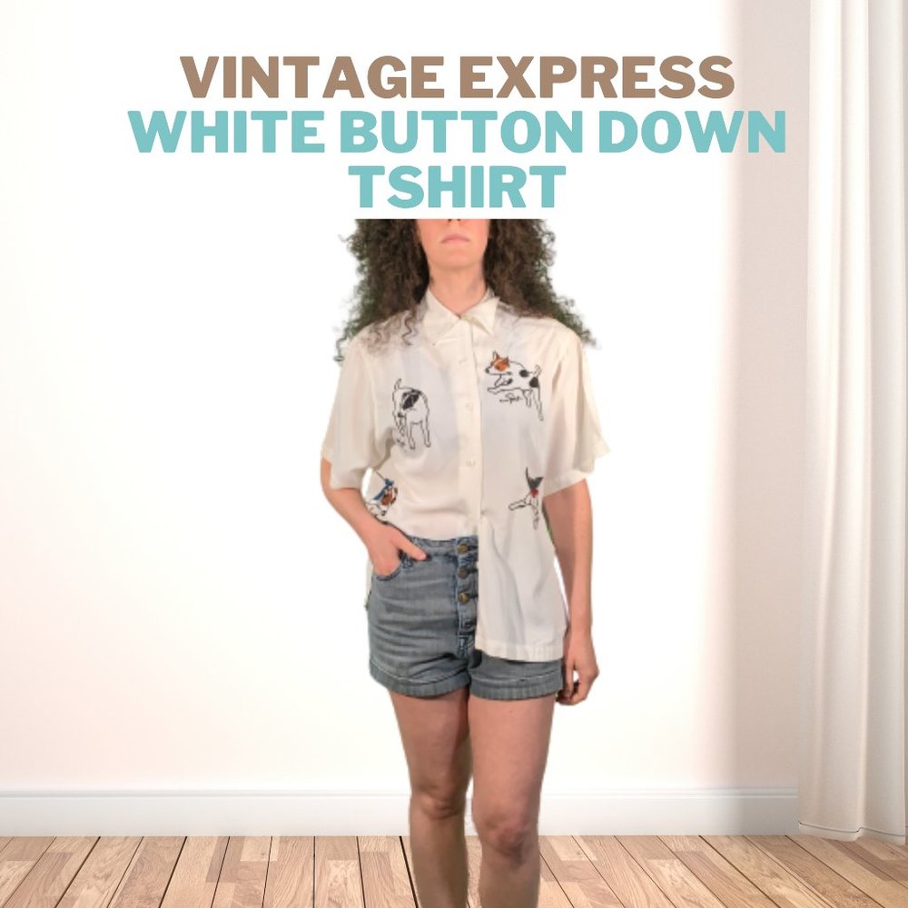 Vintage Express Tshirt